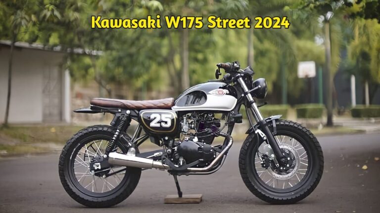 Kawasaki W175 street